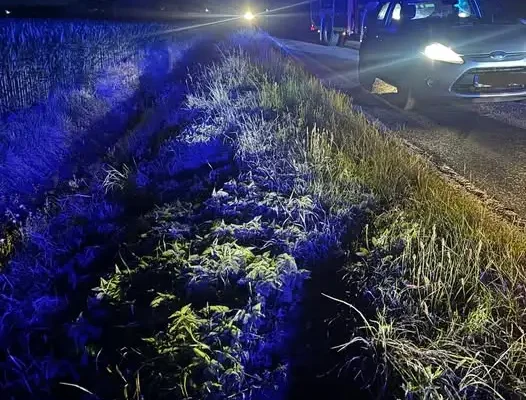 Wypadek drogowy w Borzęciczkach – interwencja strażaków z Koźmina Wielkopolskiego