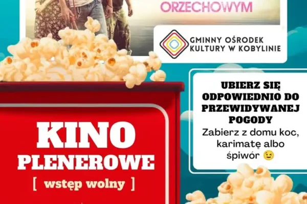 Kino plenerowe w Kobylinie – pierwszy sezonowy seans już w piątek