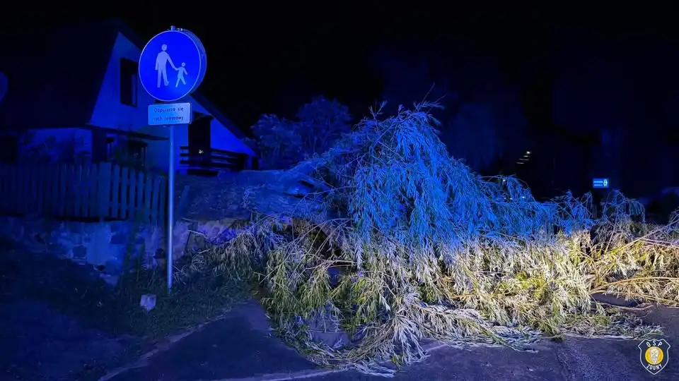 Powalone drzewo w Chachalni – interwencja OSP Zduny