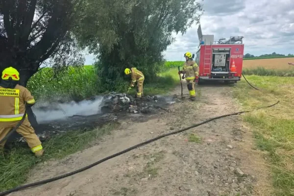 Pożar drzewa i odpadów w Dzielicach – interwencja OSP Rozdrażew