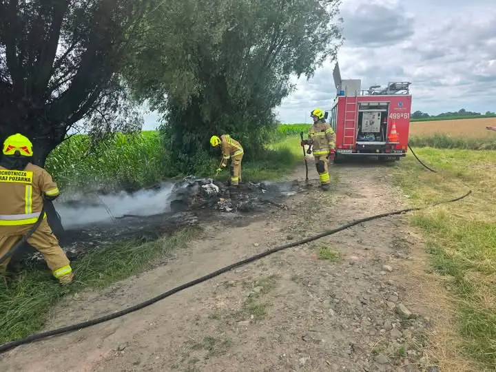 Pożar drzewa i odpadów w Dzielicach – interwencja OSP Rozdrażew