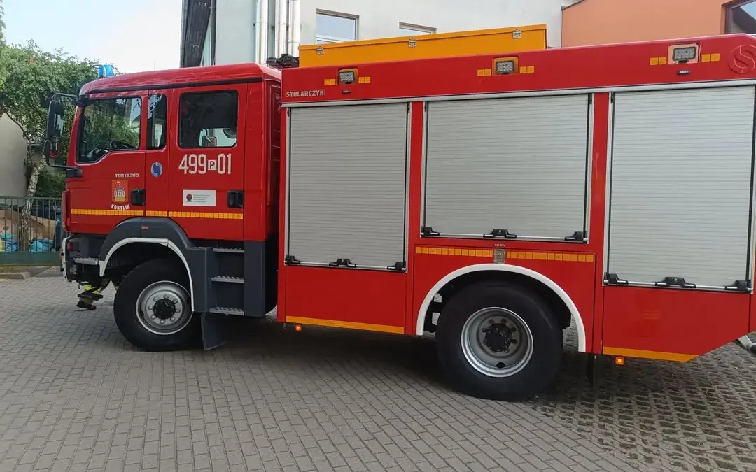 OSP Kobylin usuwa gniazdo owadów błonkoskrzydłych