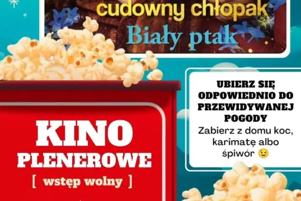 Kino plenerowe w Kobylinie: „Cudowny chłopak. Biały ptak” już w piątek