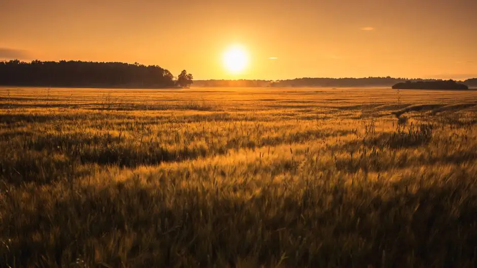 Ostrzeżenie meteorologiczne: upał w gminie Rozdrażew