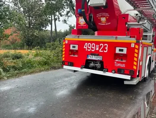 Silny wiatr zerwał dachy budynków gospodarczych w Nowej Wsi i Budach