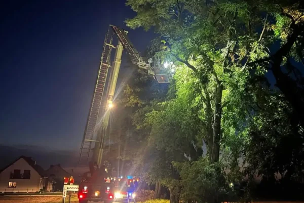 OSP Rozdrażew usunęło zwisający konar nad jezdnią w Budach