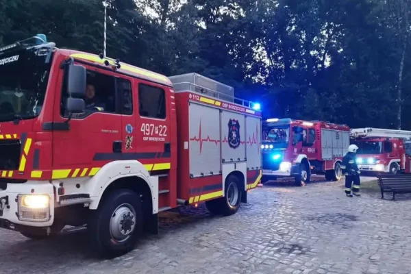 Fałszywy alarm w Borzęciczkach – strażacy zadysponowani do zabezpieczenia miejsca