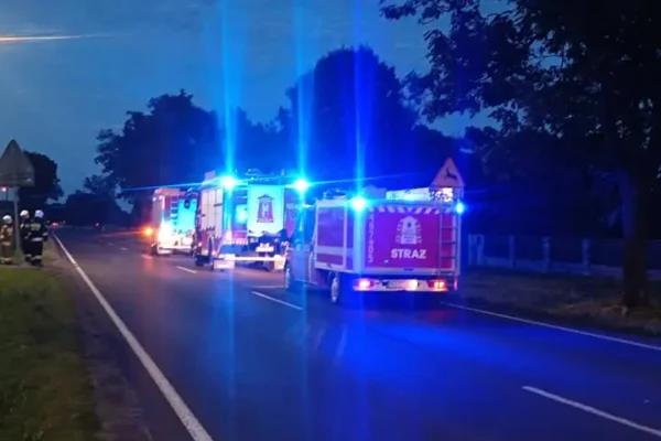 Pożar pozostałości roślinnych w Wyganowie – interwencja strażaków
