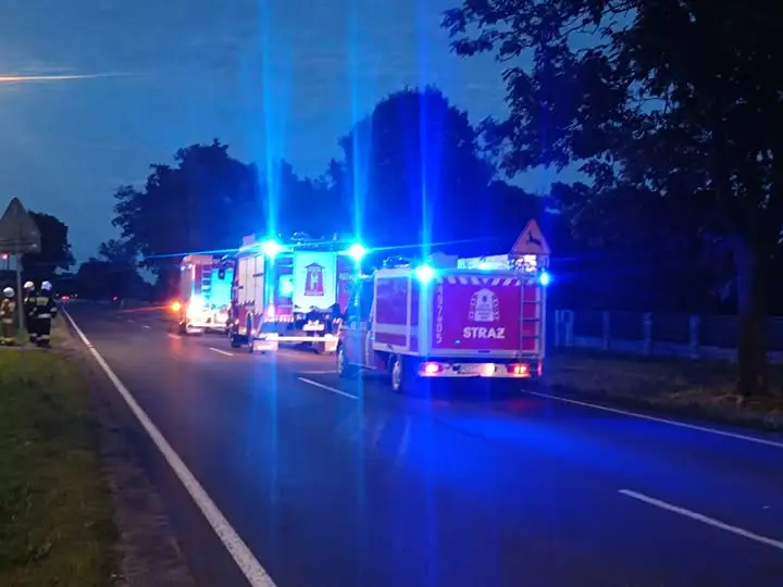 Pożar pozostałości roślinnych w Wyganowie – interwencja strażaków