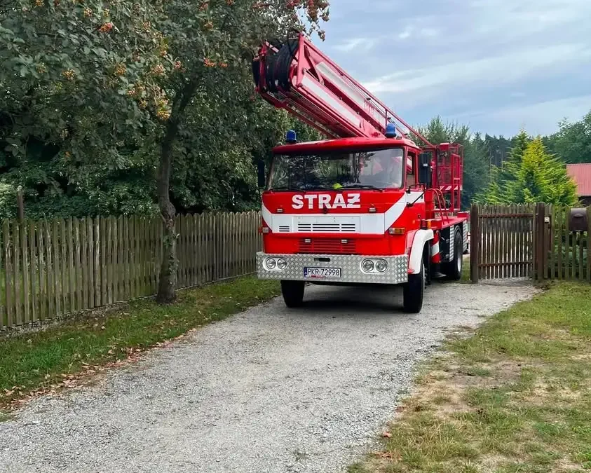 Usuwanie gniazda owadów w Chachalni – interwencja OSP Zduny