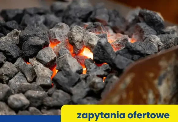Krotoszyn ogłasza przetargi na piece CO i opał do świetlic wiejskich