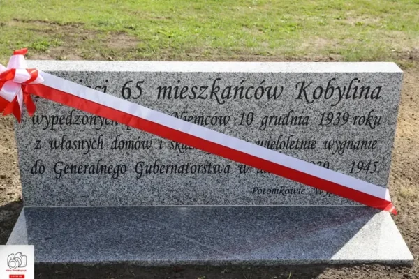 Młodzieżowa Drużyna Pożarnicza OSP Kobylin uczciła 87. rocznicę wybuchu II wojny światowej