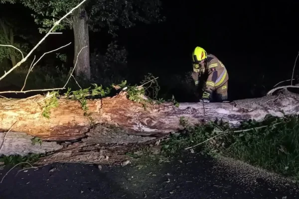 Nocna interwencja strażaków w Nowej Obrze – usunięcie obalonego drzewa