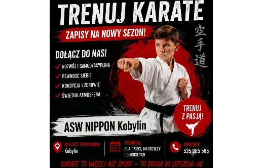 Zapisy na nowy sezon karate w Kobylinie – dołącz do treningów!