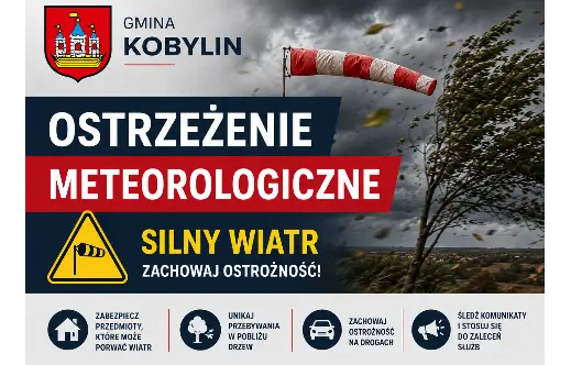 Ostrzeżenie IMGW: Silny wiatr w powiecie krotoszyńskim – porywy do 85 km/h