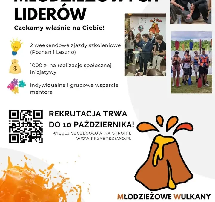 Akademia Młodzieżowych Liderów — ruszył nabór dla młodzieży z Wielkopolski