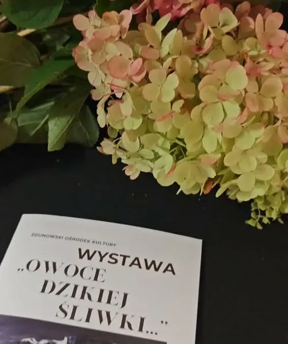 Wystawa „Owoce Dzikiej Śliwki” w Starej Kaflarni – ceramiczna podróż do świata wyobraźni