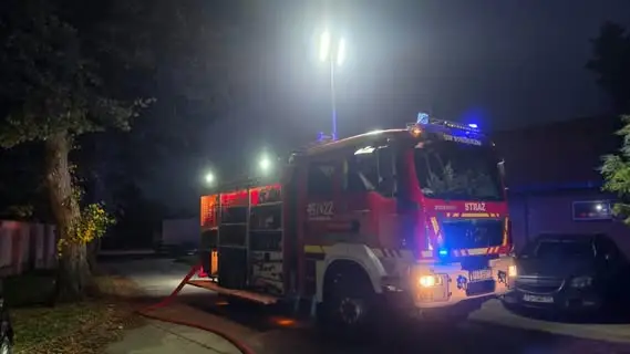 Pożar drzewa w Borzęciczkach – akcja OSP Koźmin Wlkp.
